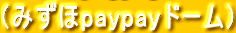 (みずほpaypayドーム)
